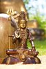 Shiva 18 cm Brass